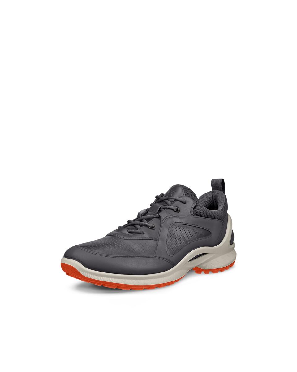 Ecco-Schuhe-2-1.jpg