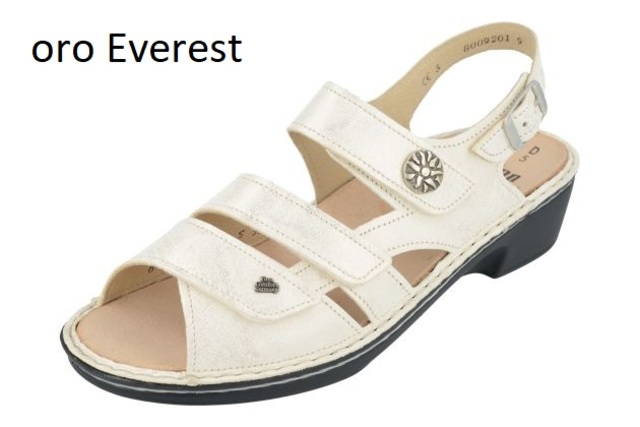 Aversa-oro-Everest.jpg