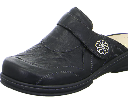 FIDELIO CLOG GINI SCHWARZ